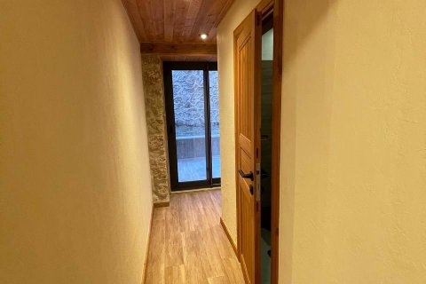 5+2 Villa i Kestel, Bursa, Turkiet Nr. 217439 - 15
