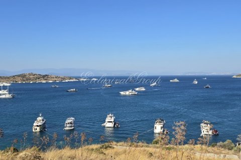 ویلا در Bodrum ، ترکیه 16 خوابه ، 1350 متر مربع. شماره 226665 - 24