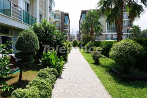 1+1 Wohnung  in Antalya, Türkei Nr. 52727 - 12