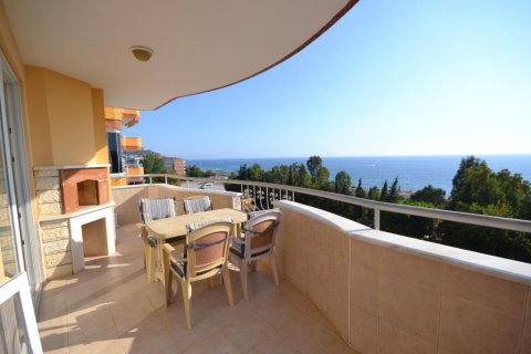 Leilighet i Mahmutlar, Antalya, Tyrkia Nr. 221164 - 22