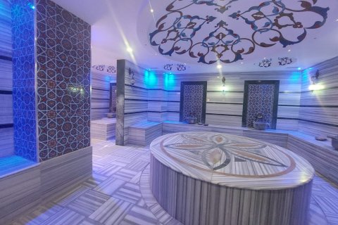 Daire  2+1  Alanya, Antalya, Türkiye №216570 - 17