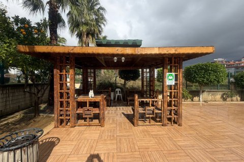 2+1 Lägenhet  i Kestel, Antalya, Turkiet Nr. 223203 - 21