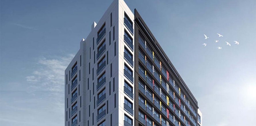 Solo Levent in Kâğıthane, Istanbul, Türkei Nr.146936