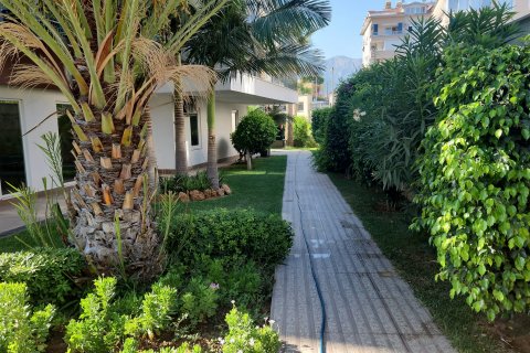 in Tosmur, Alanya, Antalya, Türkei Nr. 142799 - 25