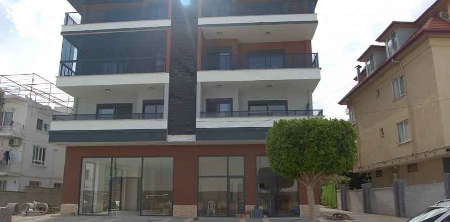 1+1 Lägenhet i Kestel, Antalya, Turkiet Nr. 120529
