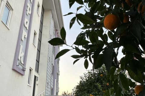 2+1 Wohnung in Kestel, Schleimbeutel, Türkei Nr. 117695 - 17