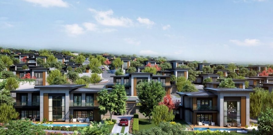 Brand Vadi  i Bueyuekcekmece, istanbul, Turkiet Nr.147467