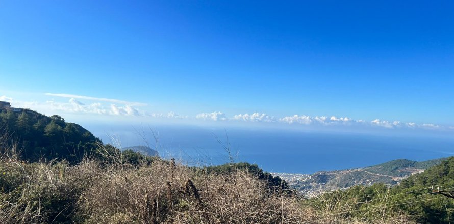 Tömma i Bektas, Alanya, Antalya, Turkiet Nr. 147964