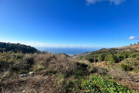 Tömma i Bektas, Alanya, Antalya, Turkiet Nr. 147964 - 2