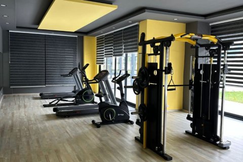 1+1 Wohnung  in Kestel, Antalya, Türkei Nr. 130832 - 9