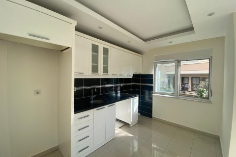 b255f38209bda522e3d1fc6f41ce70a5.jpg