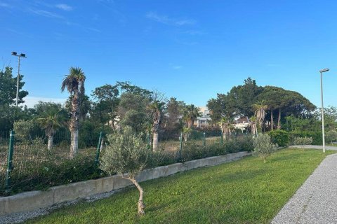 Land  in Side, Antalya, Türkei Nr. 130820 - 6