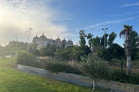 Land  in Side, Antalya, Türkei Nr. 130820 - 3