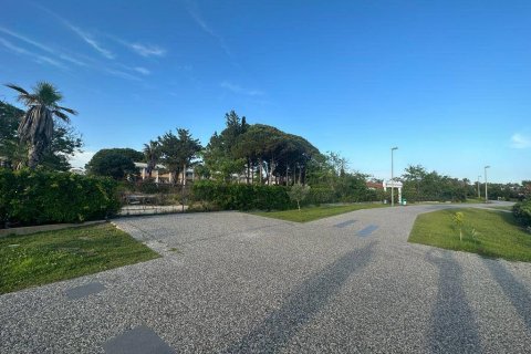 Land  in Side, Antalya, Türkei Nr. 130820 - 5
