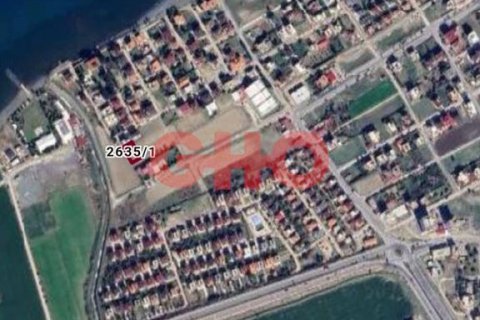 Tom  i Karaagac, Hatay, Tyrkiet Nr. 120708 - 4