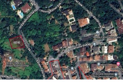 Tömma  i Istanbul, istanbul, Turkiet Nr. 190569 - 5