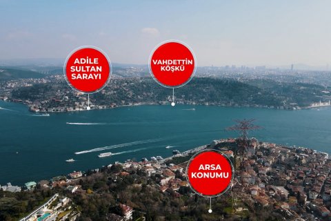 Tömma  i Istanbul, istanbul, Turkiet Nr. 190569 - 2