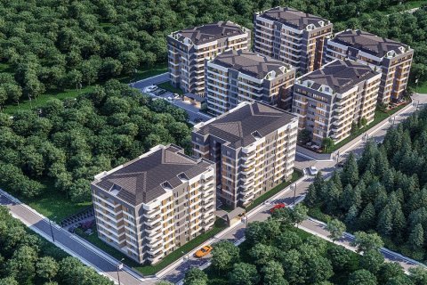 Assun Elite  i Tuzla, Istanbul, Tyrkia Nr.111853