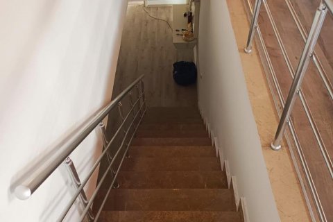 5+1 Takvåning  i Cikcilli, Antalya, Turkiet Nr. 120672 - 3