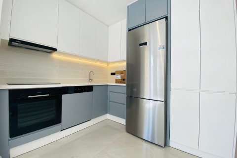 1+1 Lejlighed  i Alanya, Antalya, Tyrkiet Nr. 132154 - 10