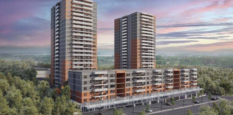 Ferce Baglica  in Ankara, Turkey No.147628