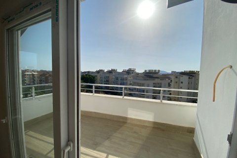   i Oba, Antalya, Tyrkia Nr. 137383 - 7