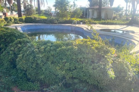 7+1 Villa  in Konakli, Antalya, Türkei Nr. 111512 - 2