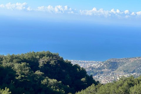 Tömma i Bektas, Alanya, Antalya, Turkiet Nr. 147964 - 5