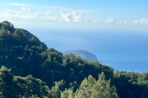 Tömma i Bektas, Alanya, Antalya, Turkiet Nr. 147964 - 7
