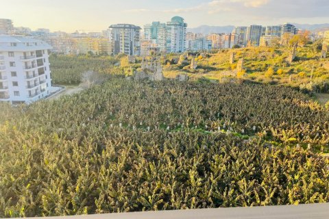 3+1 Takvåning  i Mahmutlar, Antalya, Turkiet Nr. 145417 - 27