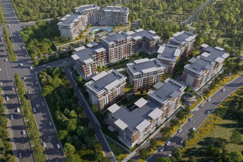 ZERAY GAZANIA LIFE 1  i Izmit, Kocaeli, Turkiet Nr.142909
