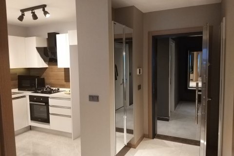 1+1 Wohnung  in Izmir, Türkei Nr. 142239 - 12