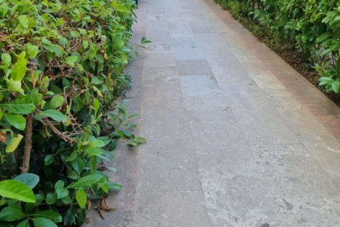 2+1 Lejlighed i Oba, Antalya, Tyrkiet Nr. 135216 - 3