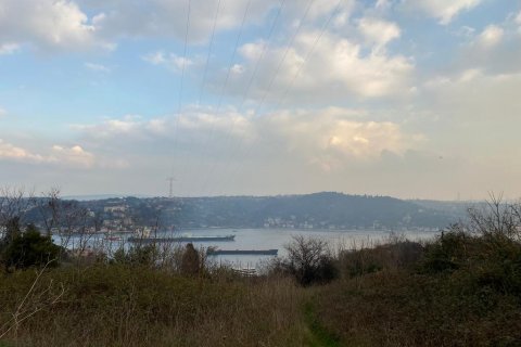 Tömma  i Istanbul, istanbul, Turkiet Nr. 190569 - 13