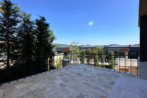 5+3 Villa in Istanbul, Türkei Nr. 210444 - 15