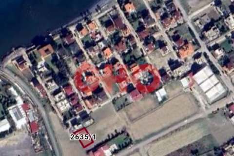 Tom  i Karaagac, Hatay, Tyrkiet Nr. 120708 - 6