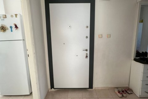 6e119f06b7fd32b3f2247ebc19a5fca7.jpg