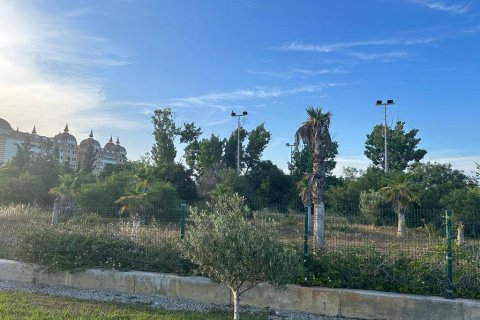 Land  in Side, Antalya, Türkei Nr. 130820 - 8