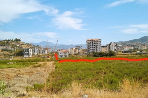 Tömma  i Gazipasa, Antalya, Turkiet Nr. 138836 - 2