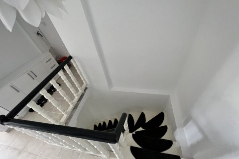3+1 Takleilighet  i Alanya, Antalya, Tyrkia Nr. 116867 - 12