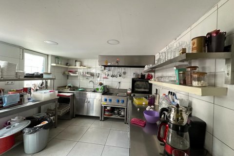 Erhvervsejendom  i Alanya, Antalya, Tyrkiet Nr. 132832 - 6