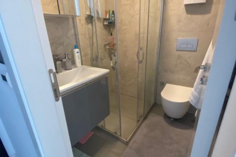 3+1 Leilighet  i Alanya, Antalya, Tyrkia Nr. 192915 - 15