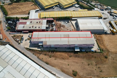 Kommersiella fastigheter i Izmir, Turkiet Nr. 185051 - 12