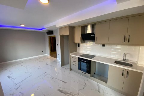 1+1 Wohnung in Oba, Antalya, Türkei Nr. 135177 - 10