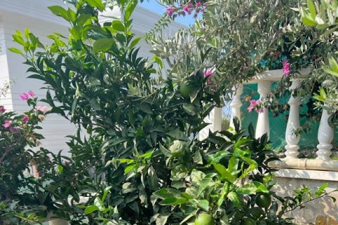 4+1 Villa  in Alanya, Antalya, Türkei Nr. 117444 - 25