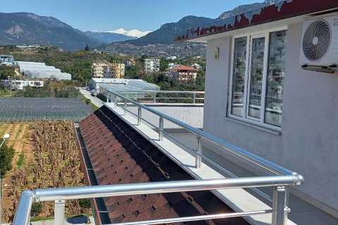 4+1 Takvåning i Kestel, Antalya, Turkiet Nr. 143624 - 9
