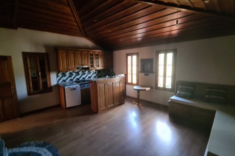 Продажа виллы  в Сельчуке, Измире, Турция 10+1, 500м2, №115544 – фото 23