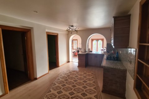 Продажа виллы  в Сельчуке, Измире, Турция 10+1, 500м2, №115544 – фото 20