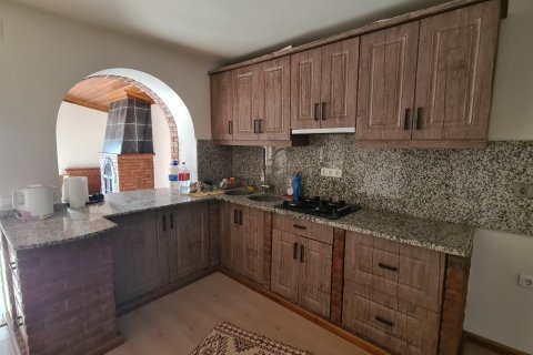 Продажа виллы  в Сельчуке, Измире, Турция 10+1, 500м2, №115544 – фото 21