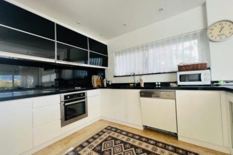 4+1 Villa  i Konakli, Antalya, Turkiet Nr. 120977 - 12